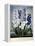 Thornton: Hyacinths-Warner-Framed Premier Image Canvas