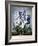 Thornton: Hyacinths-Warner-Framed Giclee Print