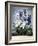 Thornton: Hyacinths-Warner-Framed Giclee Print