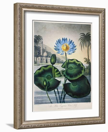 Thornton: Water Lily-Joseph Constantine Stadler-Framed Giclee Print