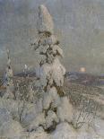 Snow Covered Spruce in Moonlight-Thorolf Holmboe-Framed Giclee Print