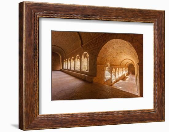 Thoronet Abbey in the Var region, Provence, France, Europe-Julian Elliott-Framed Photographic Print