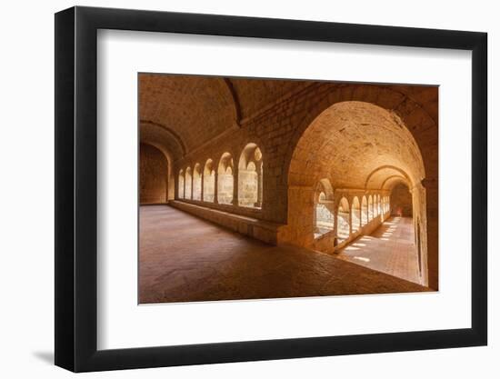 Thoronet Abbey in the Var region, Provence, France, Europe-Julian Elliott-Framed Photographic Print