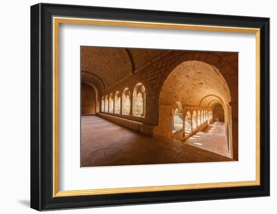 Thoronet Abbey in the Var region, Provence, France, Europe-Julian Elliott-Framed Photographic Print