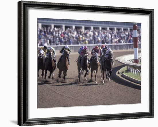 Thoroughbred Horse Racing at Keenland track, Lexington, Kentucky, USA-Adam Jones-Framed Photographic Print