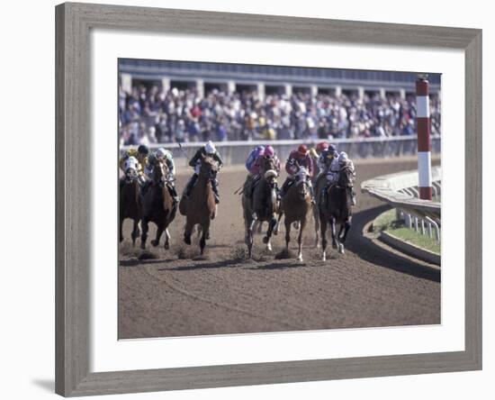 Thoroughbred Horse Racing at Keenland track, Lexington, Kentucky, USA-Adam Jones-Framed Photographic Print