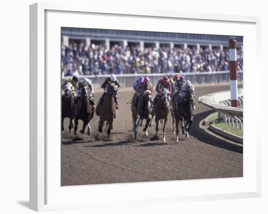 Thoroughbred Horse Racing at Keenland track, Lexington, Kentucky, USA-Adam Jones-Framed Photographic Print