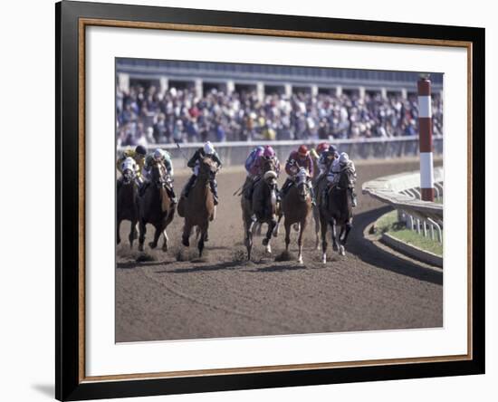 Thoroughbred Horse Racing at Keenland track, Lexington, Kentucky, USA-Adam Jones-Framed Photographic Print