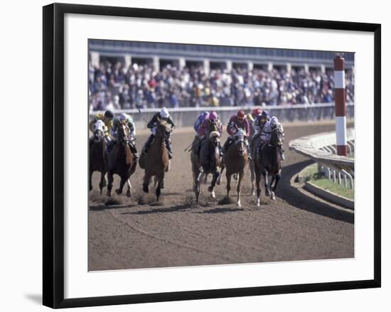 Thoroughbred Horse Racing at Keenland track, Lexington, Kentucky, USA-Adam Jones-Framed Photographic Print