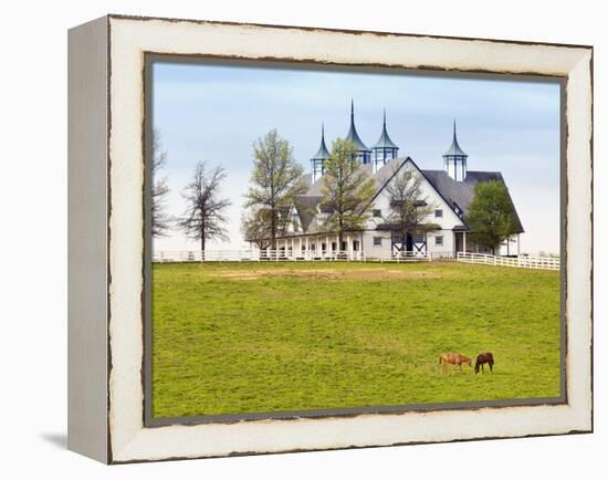Thoroughbred Horses Grazing, Manchester Horse Farm, Lexington, Kentucky, Usa-Adam Jones-Framed Premier Image Canvas