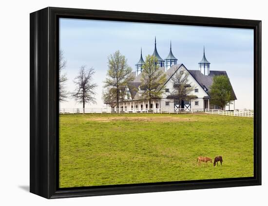 Thoroughbred Horses Grazing, Manchester Horse Farm, Lexington, Kentucky, Usa-Adam Jones-Framed Premier Image Canvas