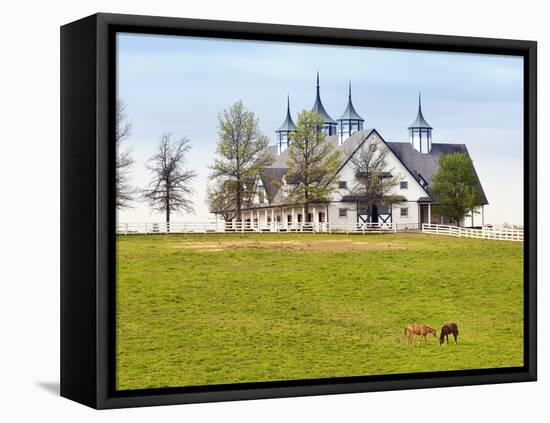 Thoroughbred Horses Grazing, Manchester Horse Farm, Lexington, Kentucky, Usa-Adam Jones-Framed Premier Image Canvas