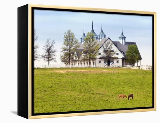 Thoroughbred Horses Grazing, Manchester Horse Farm, Lexington, Kentucky, Usa-Adam Jones-Framed Premier Image Canvas