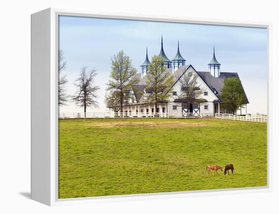 Thoroughbred Horses Grazing, Manchester Horse Farm, Lexington, Kentucky, Usa-Adam Jones-Framed Premier Image Canvas