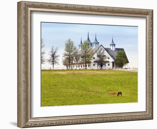 Thoroughbred Horses Grazing, Manchester Horse Farm, Lexington, Kentucky, Usa-Adam Jones-Framed Photographic Print