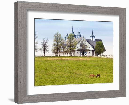 Thoroughbred Horses Grazing, Manchester Horse Farm, Lexington, Kentucky, Usa-Adam Jones-Framed Photographic Print