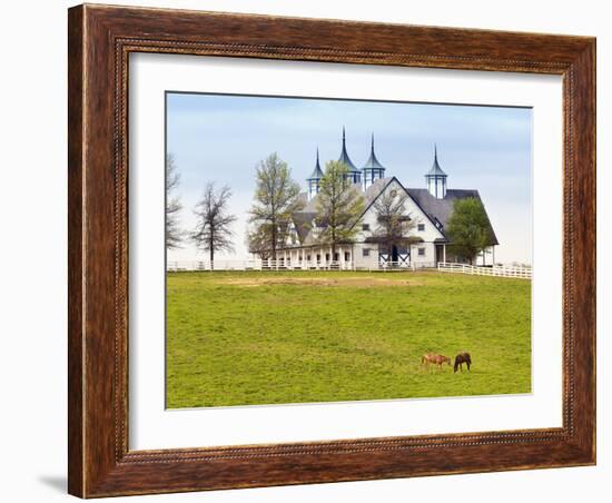 Thoroughbred Horses Grazing, Manchester Horse Farm, Lexington, Kentucky, Usa-Adam Jones-Framed Photographic Print