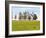 Thoroughbred Horses Grazing, Manchester Horse Farm, Lexington, Kentucky, Usa-Adam Jones-Framed Photographic Print