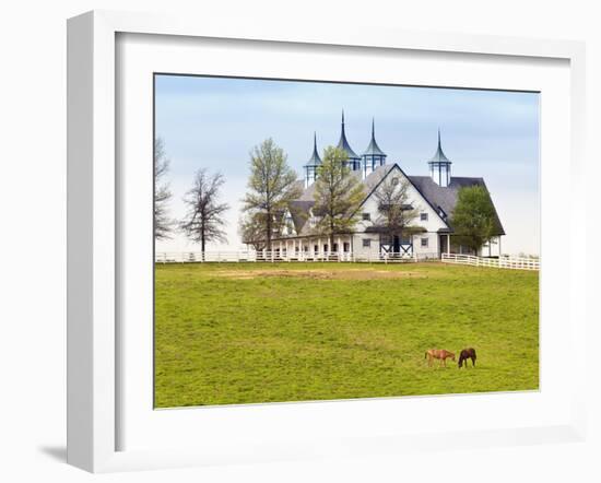 Thoroughbred Horses Grazing, Manchester Horse Farm, Lexington, Kentucky, Usa-Adam Jones-Framed Photographic Print