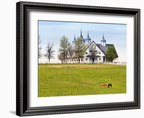 Thoroughbred Horses Grazing, Manchester Horse Farm, Lexington, Kentucky, Usa-Adam Jones-Framed Photographic Print