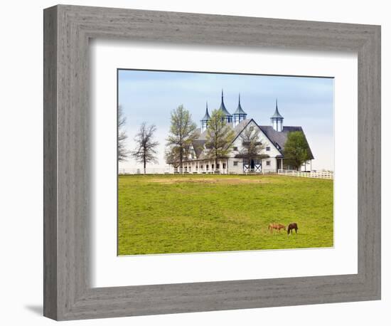 Thoroughbred Horses Grazing, Manchester Horse Farm, Lexington, Kentucky, Usa-Adam Jones-Framed Photographic Print