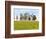 Thoroughbred Horses Grazing, Manchester Horse Farm, Lexington, Kentucky, Usa-Adam Jones-Framed Photographic Print