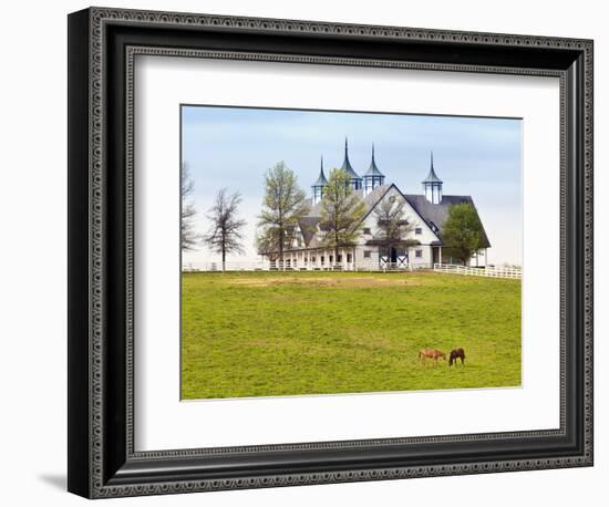 Thoroughbred Horses Grazing, Manchester Horse Farm, Lexington, Kentucky, Usa-Adam Jones-Framed Photographic Print