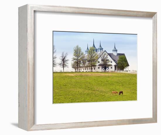 Thoroughbred Horses Grazing, Manchester Horse Farm, Lexington, Kentucky, Usa-Adam Jones-Framed Photographic Print