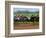 Thoroughbred Horses, Kentucky, USA-Adam Jones-Framed Photographic Print