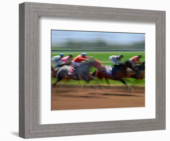 Thoroughbred Horses, Kentucky, USA-Adam Jones-Framed Photographic Print