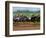 Thoroughbred Horses, Kentucky, USA-Adam Jones-Framed Photographic Print