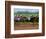 Thoroughbred Horses, Kentucky, USA-Adam Jones-Framed Photographic Print