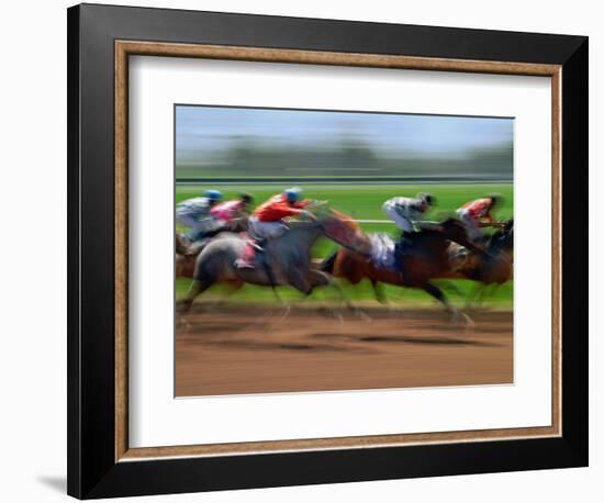 Thoroughbred Horses, Kentucky, USA-Adam Jones-Framed Photographic Print