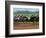 Thoroughbred Horses, Kentucky, USA-Adam Jones-Framed Photographic Print