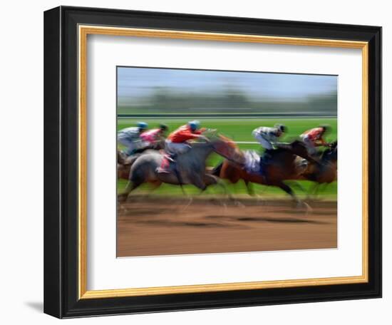 Thoroughbred Horses, Kentucky, USA-Adam Jones-Framed Photographic Print