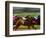 Thoroughbred Horses Racing at Keeneland Race Track, Lexington, Kentucky, USA-Adam Jones-Framed Photographic Print