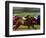 Thoroughbred Horses Racing at Keeneland Race Track, Lexington, Kentucky, USA-Adam Jones-Framed Photographic Print