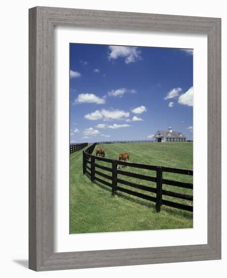 Thoroughbred in the Countryside, Kentucky, USA-Michele Molinari-Framed Photographic Print