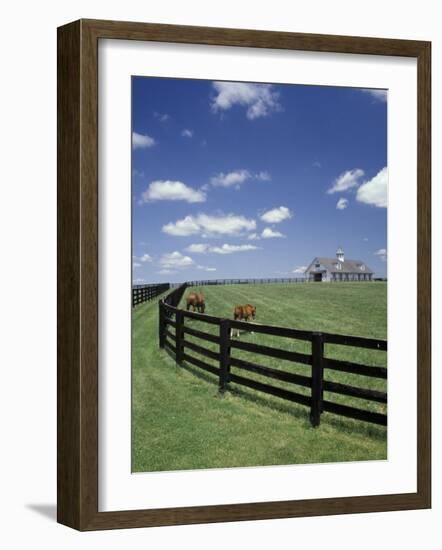 Thoroughbred in the Countryside, Kentucky, USA-Michele Molinari-Framed Photographic Print