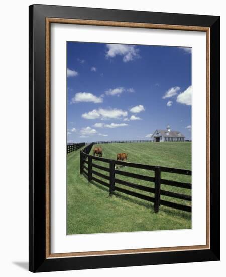 Thoroughbred in the Countryside, Kentucky, USA-Michele Molinari-Framed Photographic Print