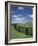 Thoroughbred in the Countryside, Kentucky, USA-Michele Molinari-Framed Photographic Print