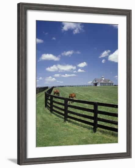 Thoroughbred in the Countryside, Kentucky, USA-Michele Molinari-Framed Photographic Print