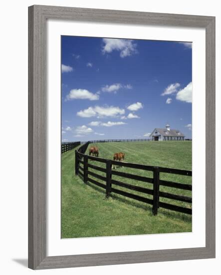 Thoroughbred in the Countryside, Kentucky, USA-Michele Molinari-Framed Photographic Print