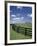 Thoroughbred in the Countryside, Kentucky, USA-Michele Molinari-Framed Photographic Print