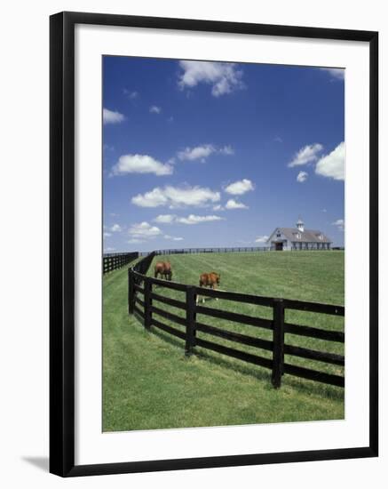 Thoroughbred in the Countryside, Kentucky, USA-Michele Molinari-Framed Photographic Print