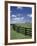 Thoroughbred in the Countryside, Kentucky, USA-Michele Molinari-Framed Photographic Print