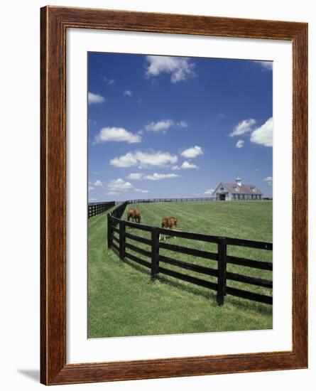 Thoroughbred in the Countryside, Kentucky, USA-Michele Molinari-Framed Photographic Print