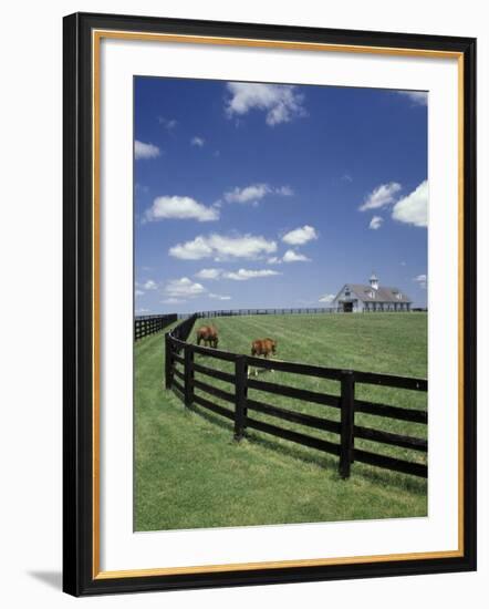 Thoroughbred in the Countryside, Kentucky, USA-Michele Molinari-Framed Photographic Print