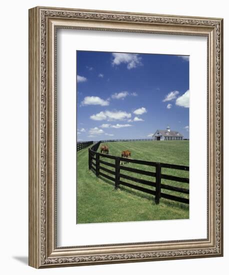 Thoroughbred in the Countryside, Kentucky, USA-Michele Molinari-Framed Photographic Print