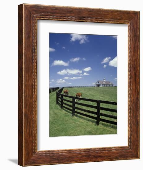 Thoroughbred in the Countryside, Kentucky, USA-Michele Molinari-Framed Photographic Print